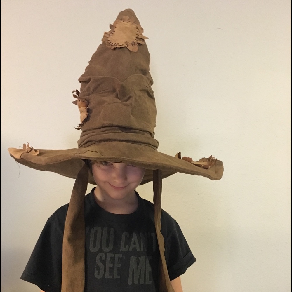 Harry Potter sorting hat
